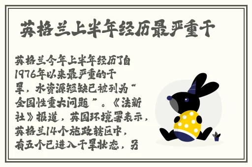 金刚杵汆肉莲全过程